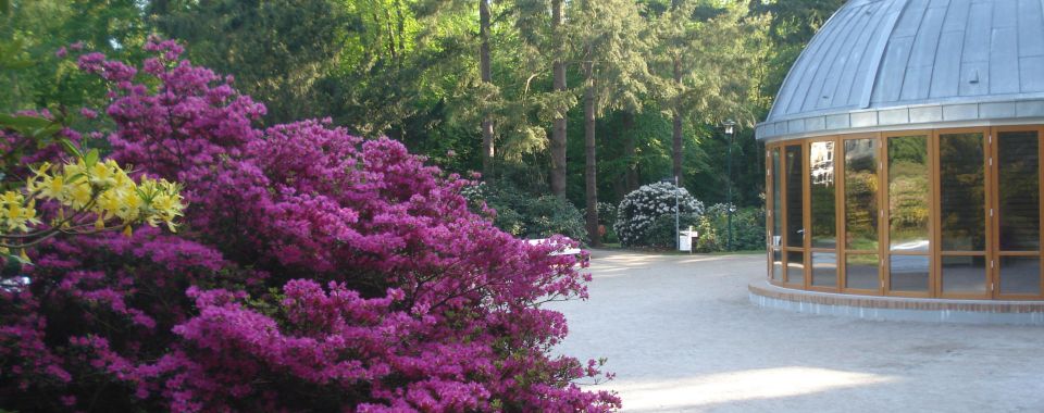 graal-mueritzer-rhododendronpark-direkt-hinter-der-ostsee-3